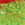 0001_Relax_Kopyto_River_15_cm_[Green_Glitter_Red].jpg